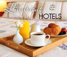 Hotels