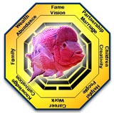 Feng Shui of the Flower Horn