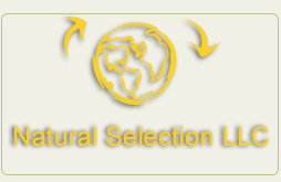 Natural Selection LLC